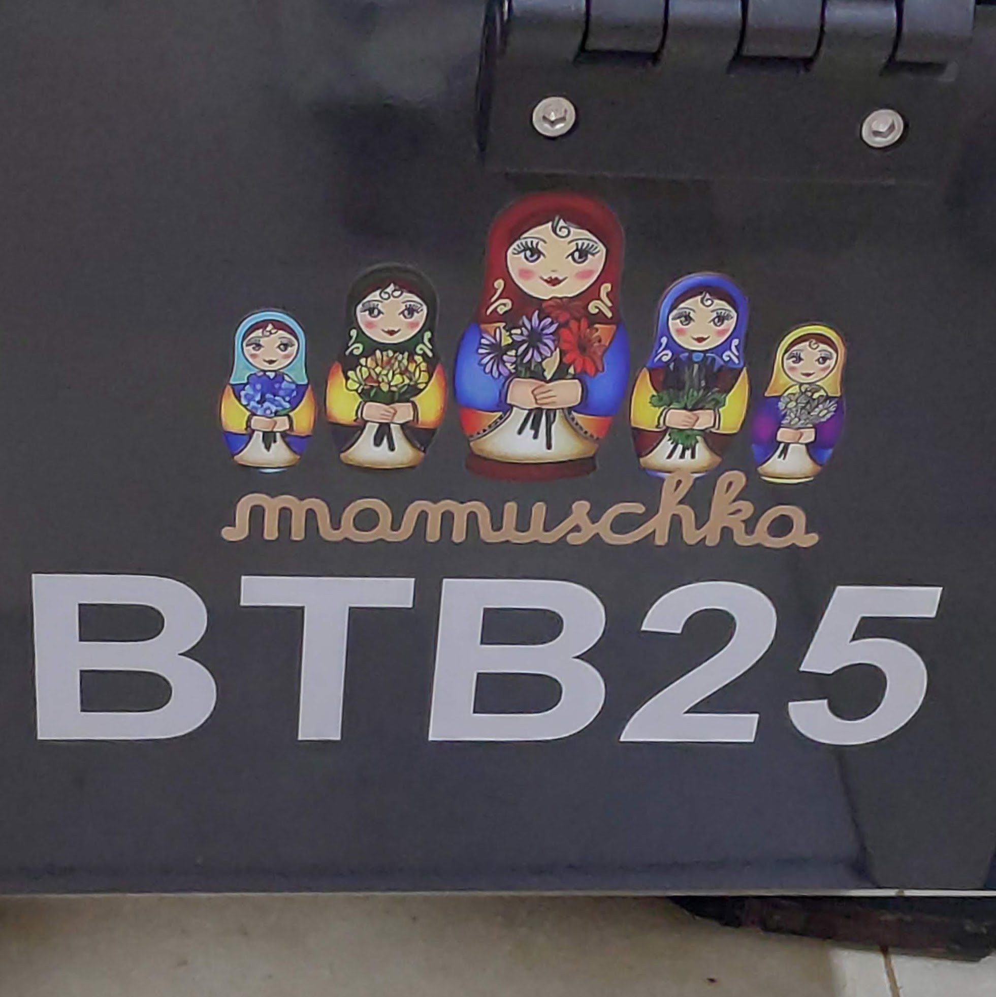 IMG 20241204 174836 (1)